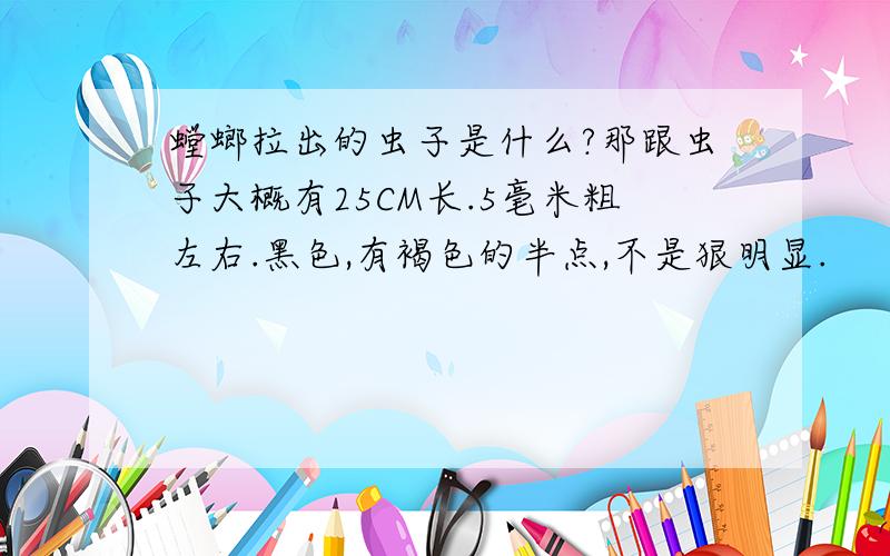 螳螂拉出的虫子是什么?那跟虫子大概有25CM长.5毫米粗左右.黑色,有褐色的半点,不是狠明显.