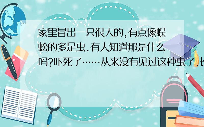 家里冒出一只很大的,有点像蜈蚣的多足虫.有人知道那是什么吗?吓死了……从来没有见过这种虫子.长度大概有6-8厘米.有点干草那种黄,但又有些黑,略透明.多足,有足节.大概有八只脚或更多一