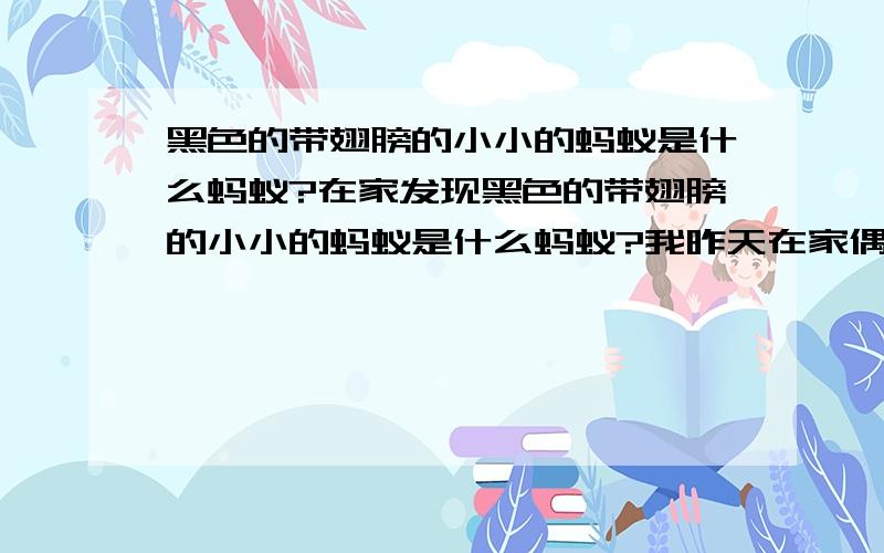 黑色的带翅膀的小小的蚂蚁是什么蚂蚁?在家发现黑色的带翅膀的小小的蚂蚁是什么蚂蚁?我昨天在家偶尔发现的~时不时发现几只都给我按死了但是还是有不知道这蚂蚁从那出来的有什么害处~