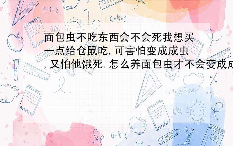 面包虫不吃东西会不会死我想买一点给仓鼠吃,可害怕变成成虫,又怕他饿死.怎么养面包虫才不会变成成虫也不会死.