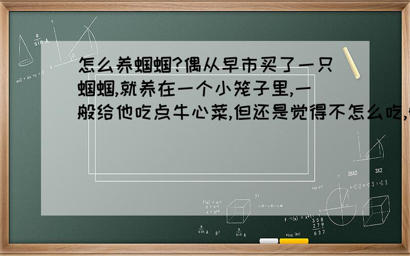 怎么养蝈蝈?偶从早市买了一只蝈蝈,就养在一个小笼子里,一般给他吃点牛心菜,但还是觉得不怎么吃,晚上叫得很厉害,下午3 4点那会儿给他晒晒太阳,吹吹风,他好像很激动,爬来爬去,想钻出去似