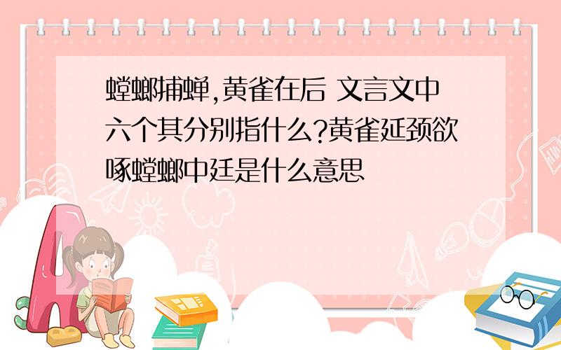 螳螂捕蝉,黄雀在后 文言文中六个其分别指什么?黄雀延颈欲啄螳螂中廷是什么意思