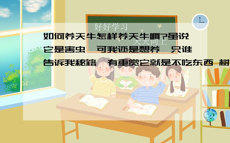 如何养天牛怎样养天牛啊?虽说它是害虫,可我还是想养一只谁告诉我秘籍  有重赏它就是不吃东西 树叶、树皮、头发都试过 它就是不吃 谁告诉我它吃什么 我再给10分