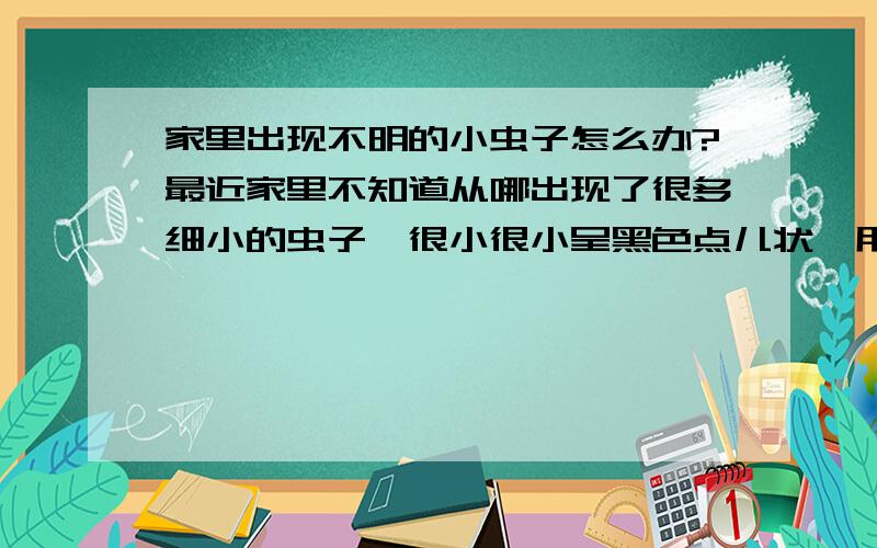 家里出现不明的小虫子怎么办?最近家里不知道从哪出现了很多细小的虫子,很小很小呈黑色点儿状,用了很多杀虫药都不好使,而且药物只会驱赶它们转移地方,所以很难控制!