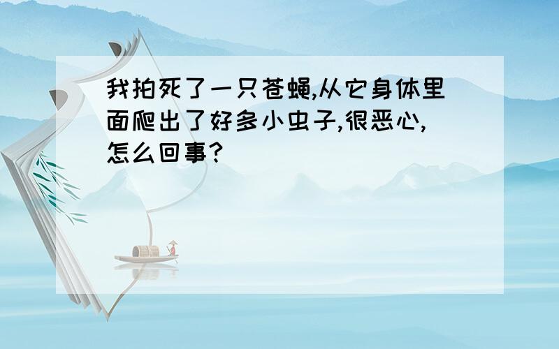 我拍死了一只苍蝇,从它身体里面爬出了好多小虫子,很恶心,怎么回事?