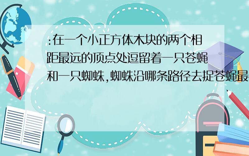 :在一个小正方体木块的两个相距最远的顶点处逗留着一只苍蝇和一只蜘蛛,蜘蛛沿哪条路径去捉苍蝇最快?...:在一个小正方体木块的两个相距最远的顶点处逗留着一只苍蝇和一只蜘蛛,蜘蛛沿