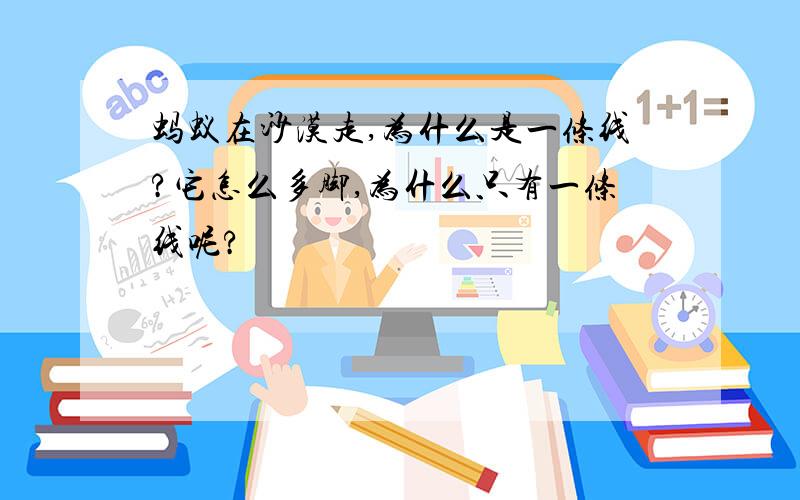 蚂蚁在沙漠走,为什么是一条线?它怎么多脚,为什么只有一条线呢?