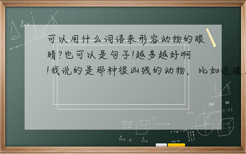 可以用什么词语来形容动物的眼睛?也可以是句子!越多越好啊!我说的是那种很凶残的动物，比如说狼、鬣狗、狮、豹等等！谭天琦有你这样抄袭人的吗？