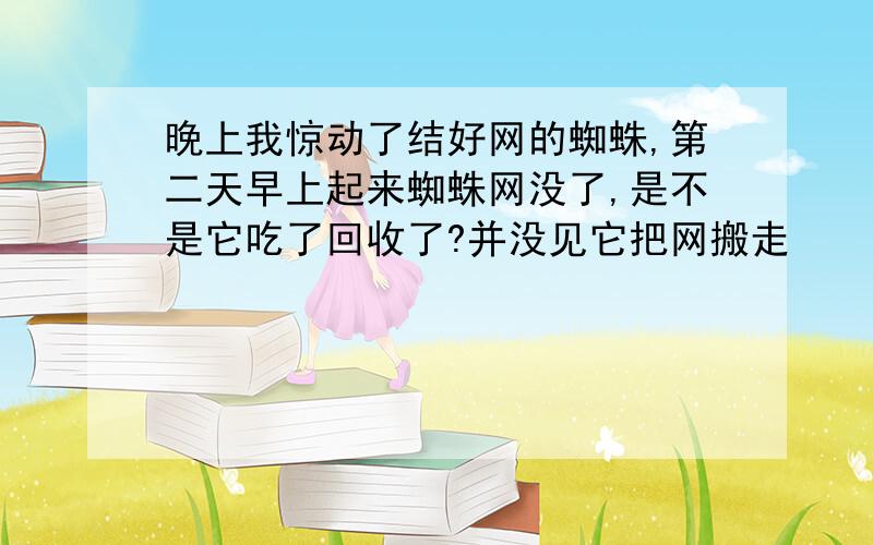 晚上我惊动了结好网的蜘蛛,第二天早上起来蜘蛛网没了,是不是它吃了回收了?并没见它把网搬走