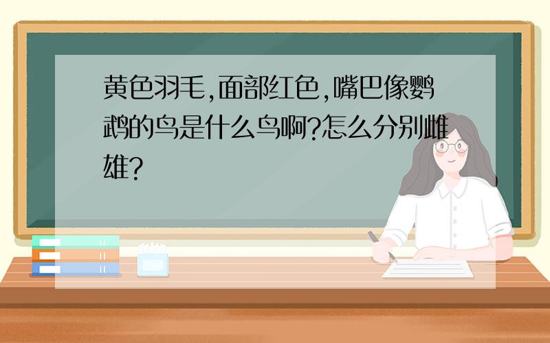 黄色羽毛,面部红色,嘴巴像鹦鹉的鸟是什么鸟啊?怎么分别雌雄?