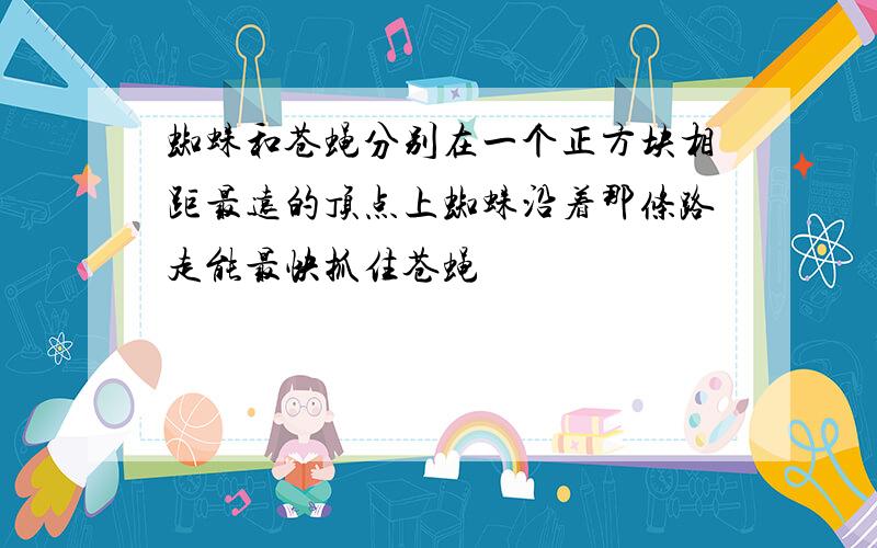 蜘蛛和苍蝇分别在一个正方块相距最远的顶点上蜘蛛沿着那条路走能最快抓住苍蝇