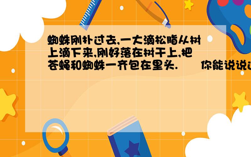 蜘蛛刚扑过去,一大滴松脂从树上滴下来,刚好落在树干上,把苍蝇和蜘蛛一齐包在里头.      你能说说这样想象的依据吗