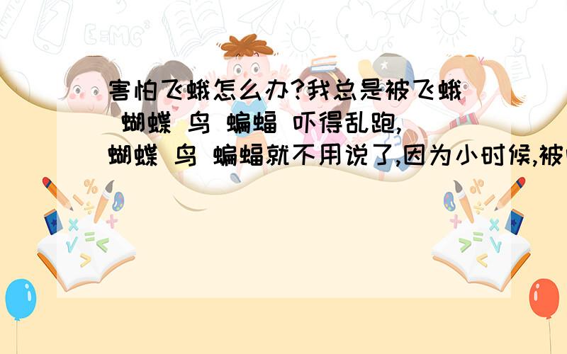 害怕飞蛾怎么办?我总是被飞蛾 蝴蝶 鸟 蝙蝠 吓得乱跑,蝴蝶 鸟 蝙蝠就不用说了,因为小时候,被吓到过,可是飞蛾,我小时是从来不怕这种玩意的,记得有一次,家里成了飞蛾窝了,满墙都是飞蛾,我