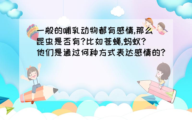 一般的哺乳动物都有感情,那么昆虫是否有?比如苍蝇,蚂蚁?他们是通过何种方式表达感情的?