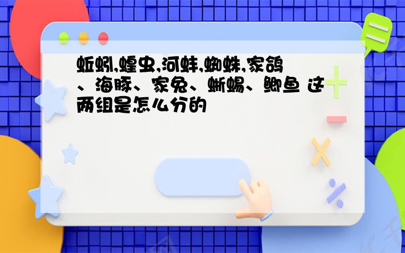 蚯蚓,蝗虫,河蚌,蜘蛛,家鸽、海豚、家兔、蜥蜴、鲫鱼 这两组是怎么分的