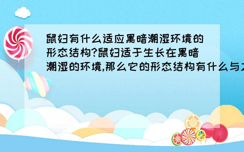 鼠妇有什么适应黑暗潮湿环境的形态结构?鼠妇适于生长在黑暗潮湿的环境,那么它的形态结构有什么与之相适应是变化吗?