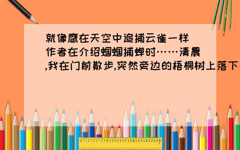 就像鹰在天空中追捕云雀一样 作者在介绍蝈蝈捕蝉时……清晨,我在门前散步,突然旁边的梧桐树上落下了什么东西,同时还有刺耳的吱吱声,我跑了过去,那是一只蝈蝈正在啄着处于绝境的蝉的