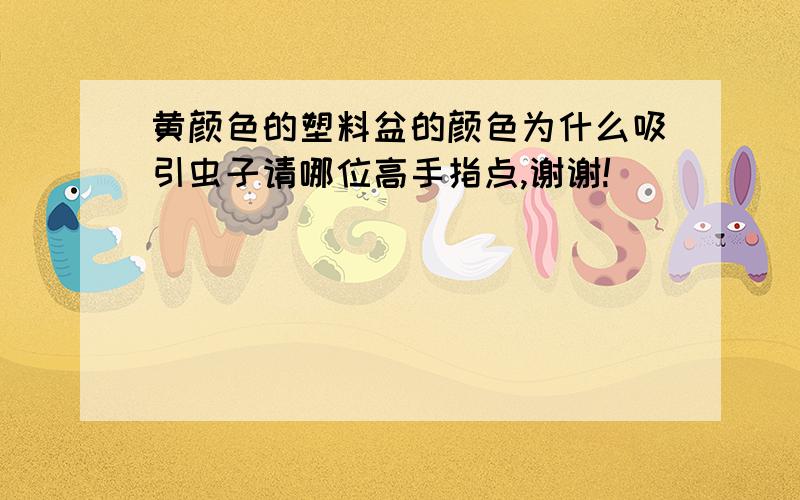 黄颜色的塑料盆的颜色为什么吸引虫子请哪位高手指点,谢谢!