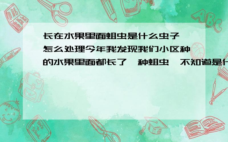 长在水果里面蛆虫是什么虫子,怎么处理今年我发现我们小区种的水果里面都长了一种蛆虫,不知道是什么?怎么才可以防治?水果的品种有桃子,枣子,柿子,梨.,一般都是水果熟的时候才有虫的,谁