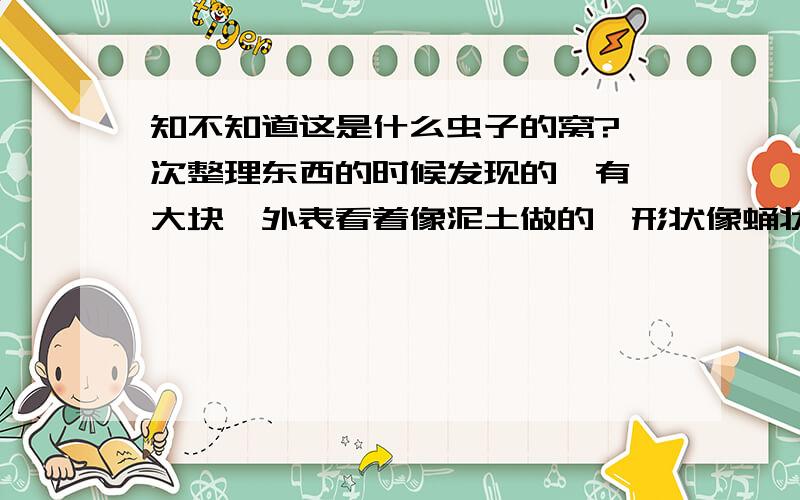 知不知道这是什么虫子的窝?一次整理东西的时候发现的,有一大块,外表看着像泥土做的,形状像蛹状且中空并整齐排列.里面还有些小蜘蛛小蚂蚁的尸体.不知道是个什么东西的窝.各位帮忙看看