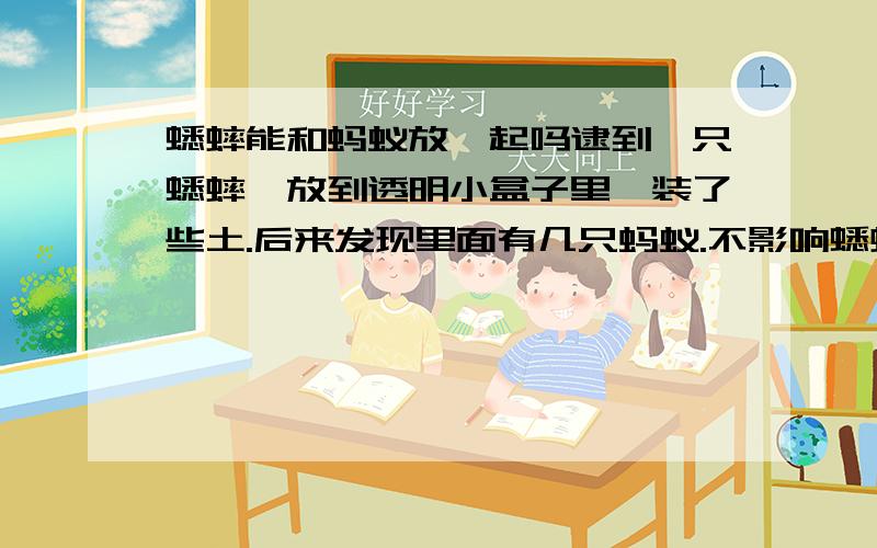 蟋蟀能和蚂蚁放一起吗逮到一只蟋蟀,放到透明小盒子里,装了些土.后来发现里面有几只蚂蚁.不影响蟋蟀吧.蚂蚁那么小应该不会把蟋蟀给吃掉吧.