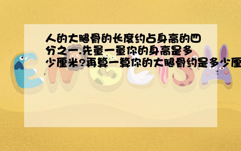 人的大腿骨的长度约占身高的四分之一.先量一量你的身高是多少厘米?再算一算你的大腿骨约是多少厘米?