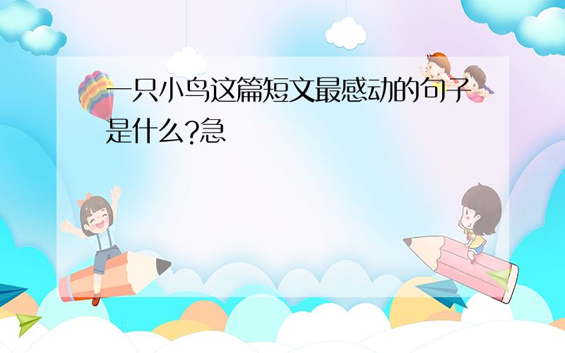 一只小鸟这篇短文最感动的句子是什么?急