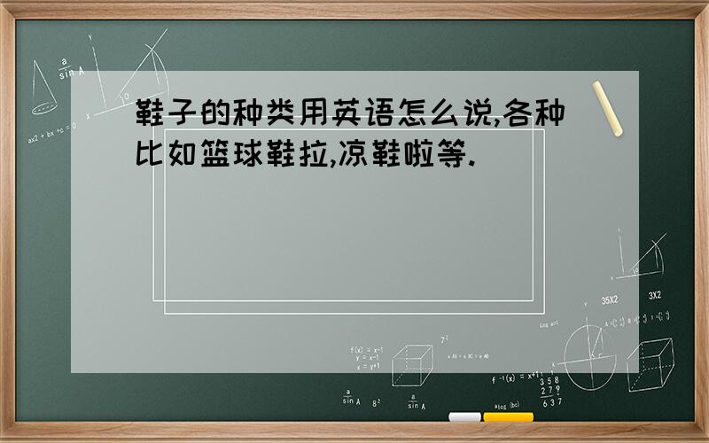 鞋子的种类用英语怎么说,各种比如篮球鞋拉,凉鞋啦等.