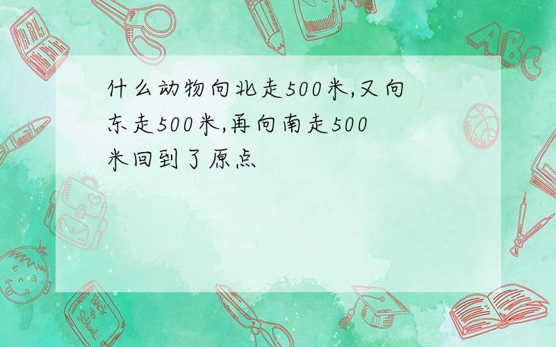 什么动物向北走500米,又向东走500米,再向南走500米回到了原点