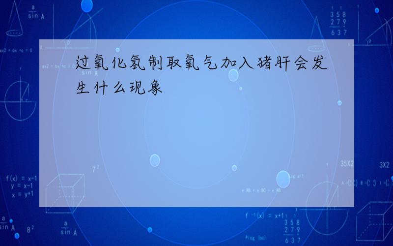 过氧化氢制取氧气加入猪肝会发生什么现象