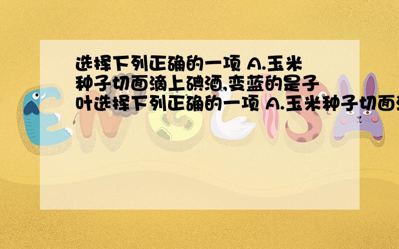 选择下列正确的一项 A.玉米种子切面滴上碘酒,变蓝的是子叶选择下列正确的一项 A.玉米种子切面滴上碘酒,变蓝的是子叶 B.探究二氧化碳是不是光合作用的原料需要把植物放到黑暗处一昼夜C.