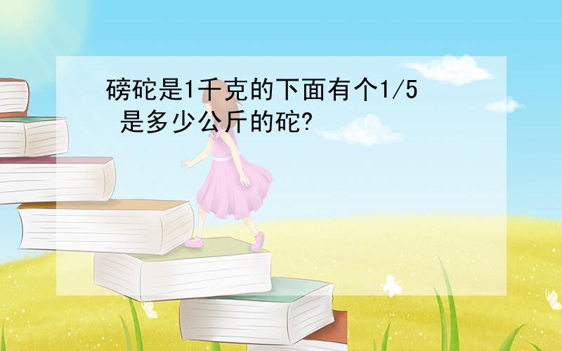 磅砣是1千克的下面有个1/5 是多少公斤的砣?