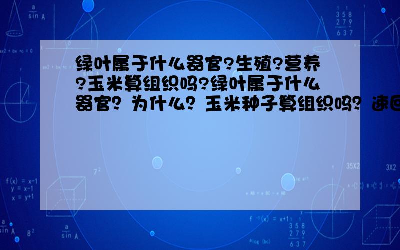 绿叶属于什么器官?生殖?营养?玉米算组织吗?绿叶属于什么器官？为什么？玉米种子算组织吗？速回！