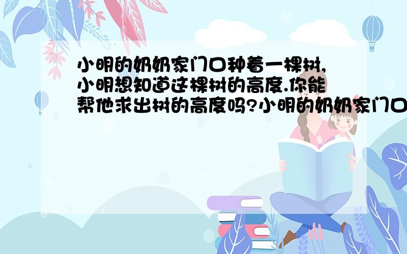 小明的奶奶家门口种着一棵树,小明想知道这棵树的高度.你能帮他求出树的高度吗?小明的奶奶家门口种着一棵树,小明想知道这棵树的高度.于是他拿来一根1m长的竹竿竖直垂放在地,测得此时