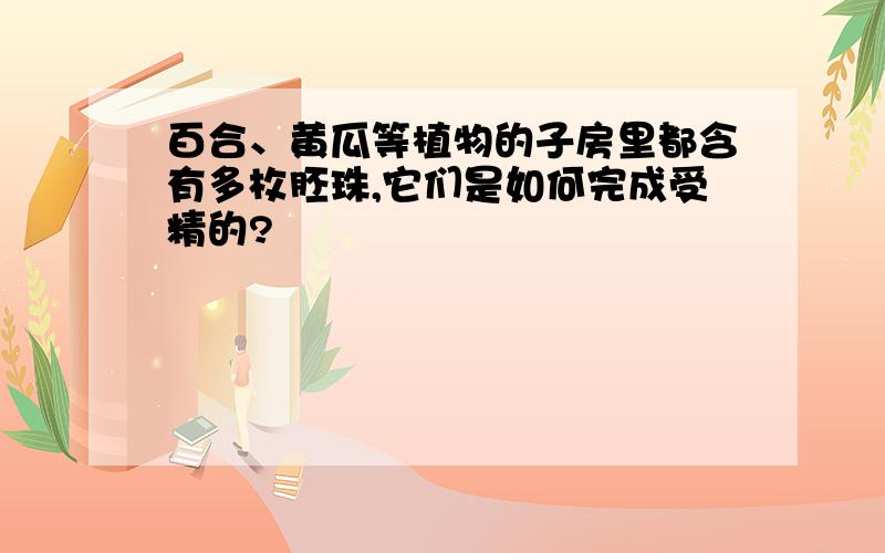 百合、黄瓜等植物的子房里都含有多枚胚珠,它们是如何完成受精的?