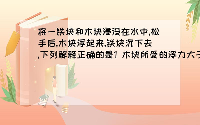 将一铁块和木块浸没在水中,松手后,木块浮起来,铁块沉下去,下列解释正确的是1 木块所受的浮力大于木块所受的重力,铁块所受的浮力小于铁块所受的重力2 密度大的物体下沉,密度小的上浮写