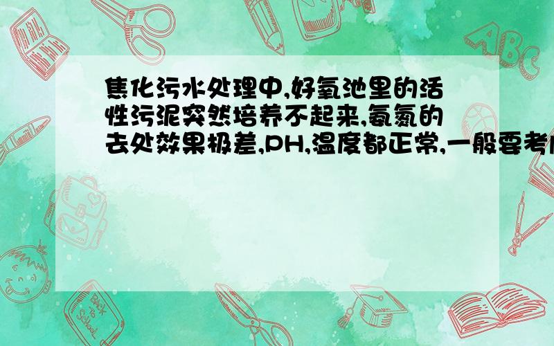 焦化污水处理中,好氧池里的活性污泥突然培养不起来,氨氮的去处效果极差,PH,温度都正常,一般要考虑什采用的工艺是硝化-反硝化