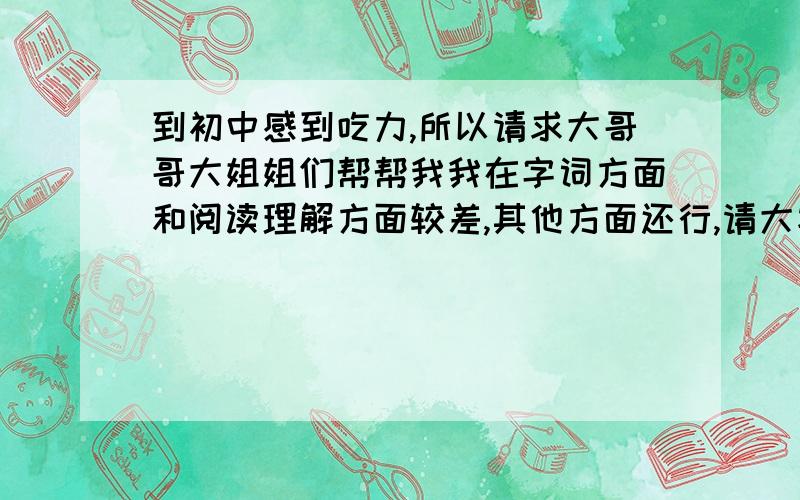 到初中感到吃力,所以请求大哥哥大姐姐们帮帮我我在字词方面和阅读理解方面较差,其他方面还行,请大家提几条建议