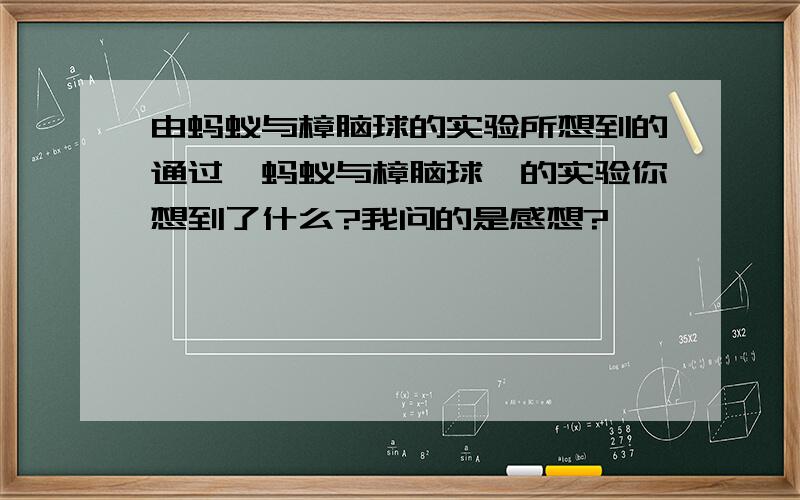 由蚂蚁与樟脑球的实验所想到的通过《蚂蚁与樟脑球》的实验你想到了什么?我问的是感想?