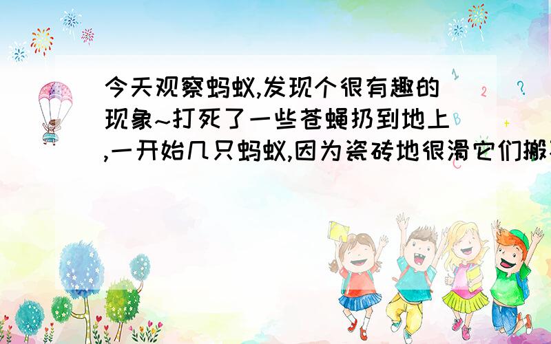 今天观察蚂蚁,发现个很有趣的现象~打死了一些苍蝇扔到地上,一开始几只蚂蚁,因为瓷砖地很滑它们搬不动,后来越来越多的蚂蚁过来了,发现有些蚂蚁比普通的身体长很多,觉得很纳闷,就仔细