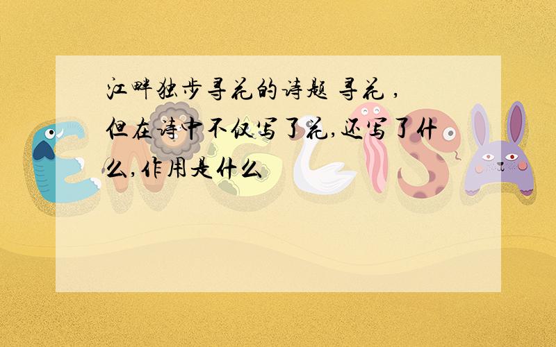 江畔独步寻花的诗题 寻花 ,但在诗中不仅写了花,还写了什么,作用是什么