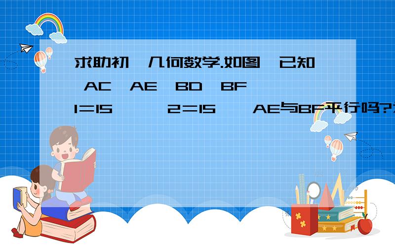 求助初一几何数学.如图,已知 AC⊥AE,BD⊥BF,∠1＝15°,∠2＝15°,AE与BF平行吗?为什么?（用几何语言解答）