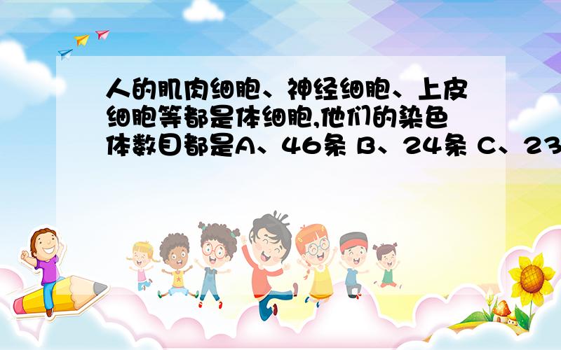 人的肌肉细胞、神经细胞、上皮细胞等都是体细胞,他们的染色体数目都是A、46条 B、24条 C、23对 D、12条