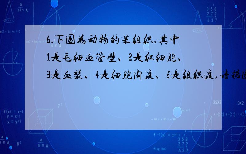 6．下图为动物的某组织,其中1是毛细血管壁、2是红细胞、3是血浆、4是细胞内液、5是组织液,请据图判断下列说法正确的是 （ ）A．过敏反应的抗体主要分布在3和5中,3和5的成分是有区别的B