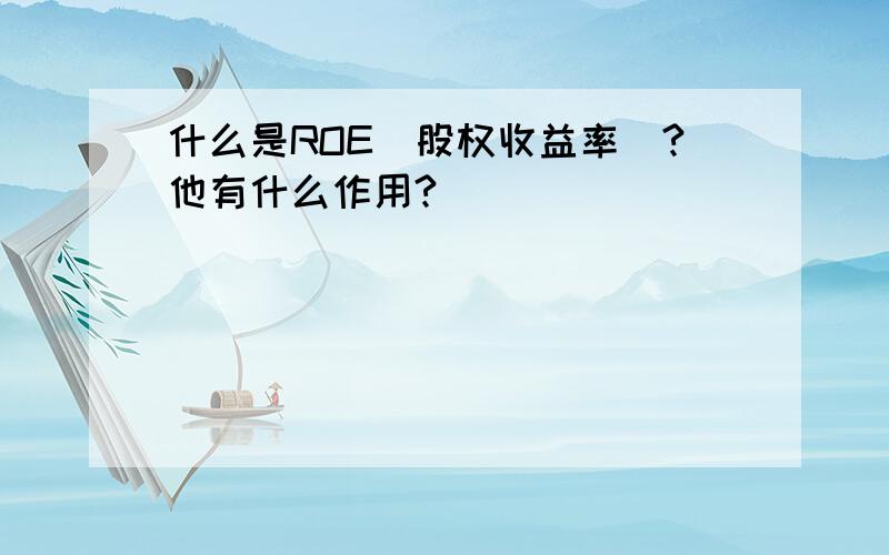 什么是ROE(股权收益率)?他有什么作用?