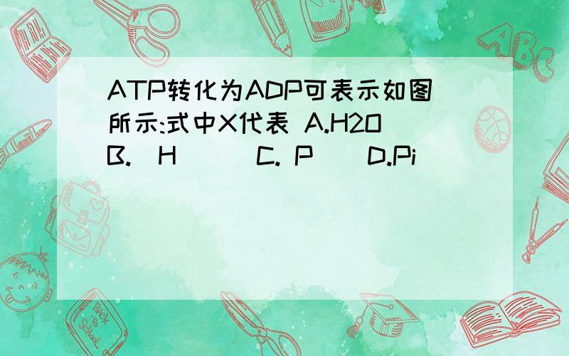 ATP转化为ADP可表示如图所示:式中X代表 A.H2OB.[H]    C. P    D.Pi