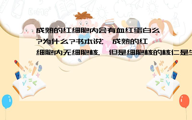 成熟的红细胞内会有血红蛋白么?为什么?书本说: