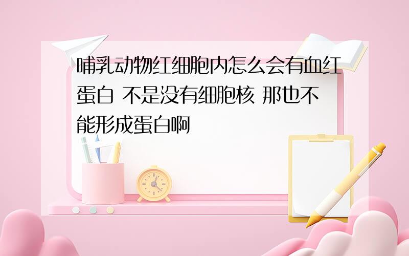 哺乳动物红细胞内怎么会有血红蛋白 不是没有细胞核 那也不能形成蛋白啊