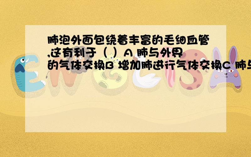 肺泡外面包绕着丰富的毛细血管,这有利于（ ）A 肺与外界的气体交换B 增加肺进行气体交换C 肺与血液进行气体交换D 气体顺利运输到组织