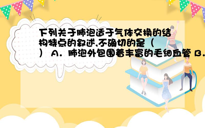 下列关于肺泡适于气体交换的结构特点的叙述,不确切的是（ ） A．肺泡外包围着丰富的毛细血管 B．肺泡壁是